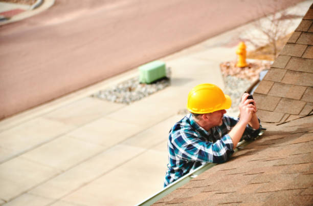 Roof Gutter Cleaning in Green Village, NJ